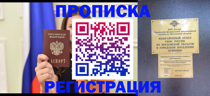 где прописаться в Павловске